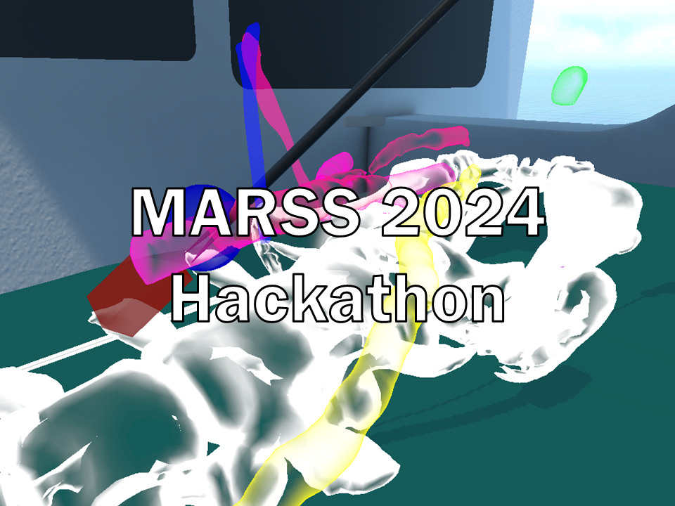 MARSS 2024 Hackathon Project
